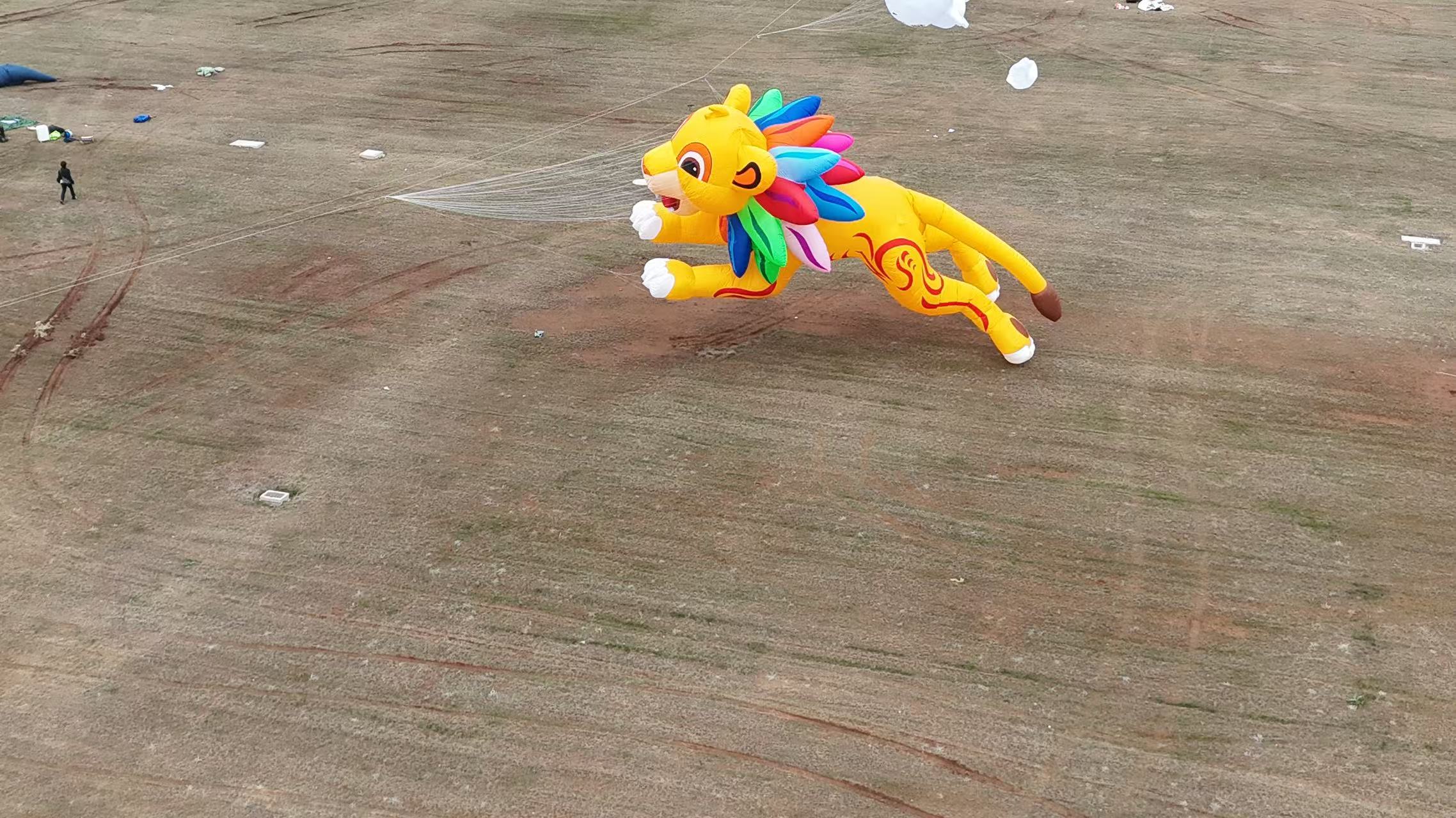 宜春市品牌风筝定制风筝制作 - 哪里好